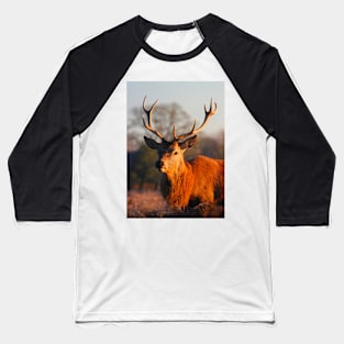 Solitude of the Stag Baseball T-Shirt